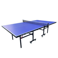 Теннисный стол для помещений Scholle TT450 Indoor в Тюмени по цене 25900 ₽
