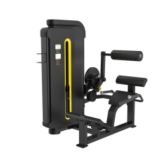 Svensson Industrial H3031 Matte Black Разгибание спины из каталога грузоблочных тренажеров в Тюмени по цене 68000 ₽