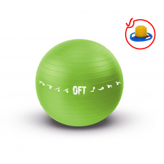 Original FitTools 65 см. с насосом зеленый FT-GBPRO-65GN из каталога фитболов  в Тюмени по цене 1690 ₽