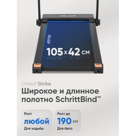 6 слайд галлереи