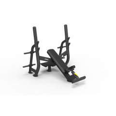 Spirit SP-4210 с отрицательным наклоном из каталога скамей со стойкой в Тюмени по цене 221600 ₽