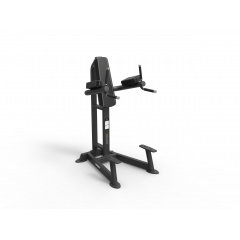 Spirit SP-4215 из каталога тренажеров с собственным весом  в Тюмени по цене 128300 ₽