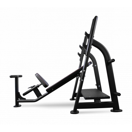Рендер-18 для Bronze Gym BR-1014 наклонная
