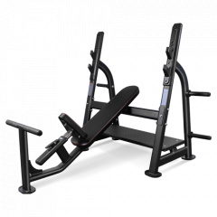 Bronze Gym BR-1014 наклонная из каталога скамей со стойкой в Тюмени по цене 102850 ₽
