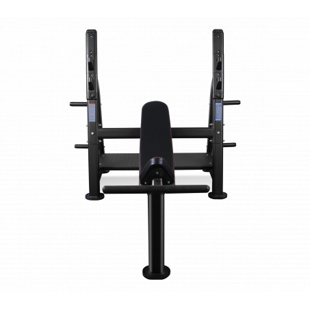 Рендер-11 для Bronze Gym BR-1014 наклонная
