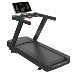 X-8600P в Тюмени по цене 245400 ₽ в категории беговые дорожки DHZ