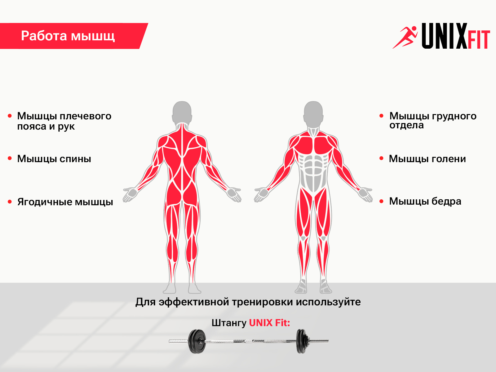 Стойка для приседания и жима UnixFit Frame 120