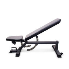 Protrain TC011 из каталога силовых скамей в Тюмени по цене 48450 ₽