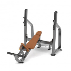 AnyFit PEB102 с положительным углом наклона из каталога скамей со стойкой в Тюмени по цене 156750 ₽