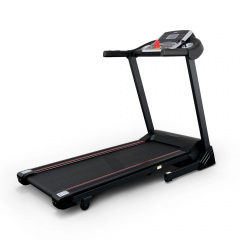 74305B в Тюмени по цене 57950 ₽ в категории беговые дорожки Everyfit