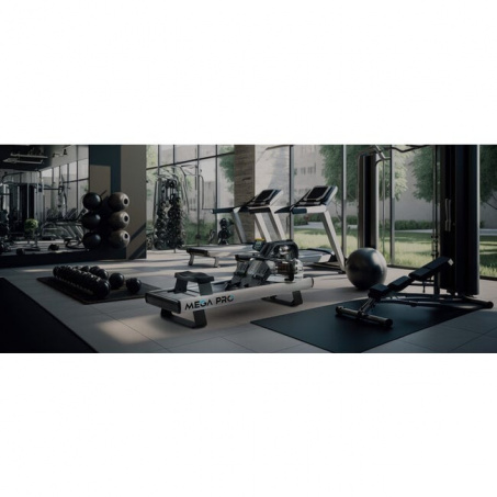 Рендер-5 для Fluid Rower Mega PRO XL