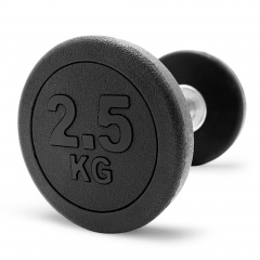 UnixFit PRO круглая 2,5 кг DBRND2_5PBK из каталога обрезиненных гантелей в Тюмени по цене 1090 ₽