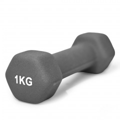 UnixFit 1 кг Grey DBNEO1GY из каталога неопреновых  гантелей в Тюмени по цене 510 ₽