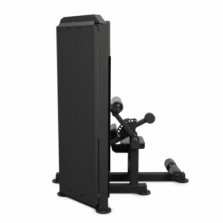 Рендер-2 для Bronze Gym PARTNER ML-812 Пресс-машина