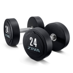 Ziva ZVO-DBPU-1644-GY 16 кг (пара) из каталога гантелей для фитнеса в Тюмени по цене 35620 ₽