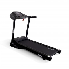 FFT020 в Тюмени по цене 65550 ₽ в категории беговые дорожки Everyfit