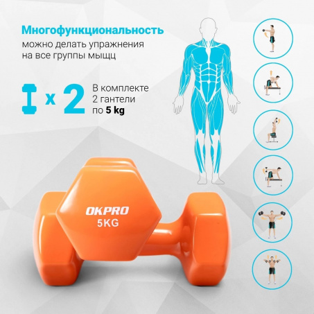 Рендер-1 для OKPRO OK1001A-5 5 кг. 2 шт.