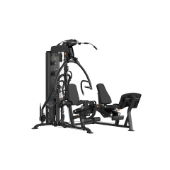Hasttings Digger HG09+HG09-LP с жимом ногами из каталога мультистанций в Тюмени по цене 668600 ₽