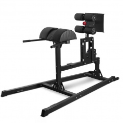 Protrain PM135 из каталога тренажеров для спины  в Тюмени по цене 86450 ₽