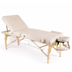 DFC PROFI3 TS312H складной из каталога массажных столов в Тюмени по цене 28900 ₽