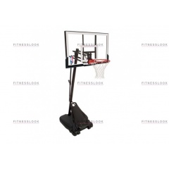 66634CN Gold 48″ в Тюмени по цене 52700 ₽ в категории баскетбольные стойки Spalding