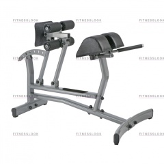 AeroFit Neo NRCH из каталога тренажеров римский стул в Тюмени по цене 39270 ₽