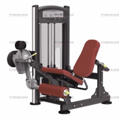 AeroFit IT9305 - разгибание ног из каталога грузоблочных тренажеров в Тюмени по цене 179950 ₽