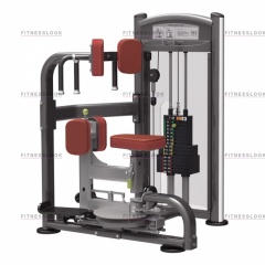 AeroFit IT9318 - вращение торса из каталога грузоблочных тренажеров в Тюмени по цене 194990 ₽