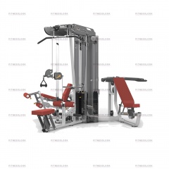 AeroFit ES3000+ES3000OPT с тяговой колонной из каталога мультистанций в Тюмени по цене 466990 ₽
