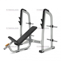 Precor DBR410 - со стойками из каталога гирь в Тюмени по цене 162470 ₽