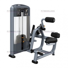 Precor DSL313 - разгибание спины из каталога грузоблочных тренажеров в Тюмени по цене 523215 ₽