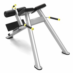 Protrain 61A43 из каталога гиперэкстензий в Тюмени по цене 87100 ₽